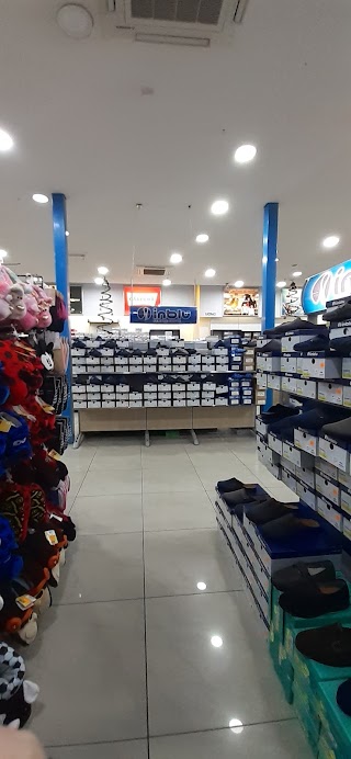 Anaclerico STORE