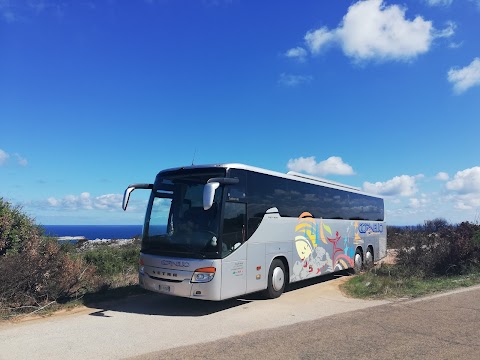 Foto di Taxi Viaggi Cornelio - Via delle Lavine 49, Mastellina (TN), Italia