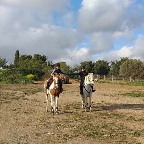 Scuola di equitazione Circolo ippico san bartolo