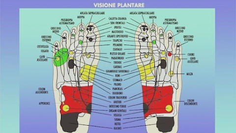 Operatore Discipline Bio Naturali Giorgia Lonicci