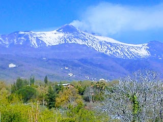 Parco Oasi Cosentini