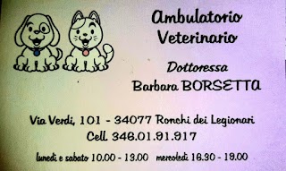 Ambulatorio Veterinario Borsetta Dr.ssa Barbara