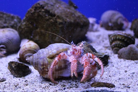 Acquario del Salento