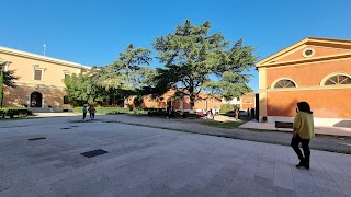 Università di Foggia - Dipartimento di Economia