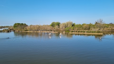 Riserva naturale Valle Canal Novo