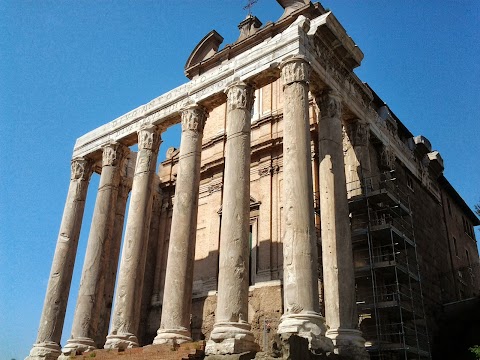 Tours of the Colosseum - Colosseum & Roman Forum & other Guided Tours