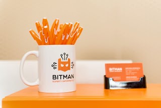 Bitman Esperti Informatici