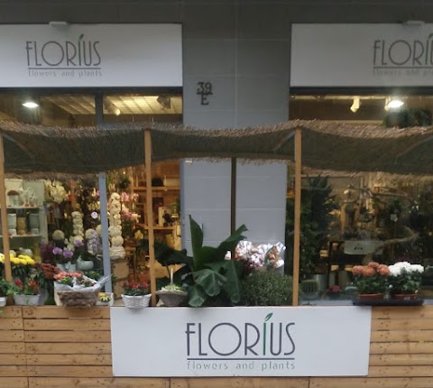 Florius Flowers And Plants Torino