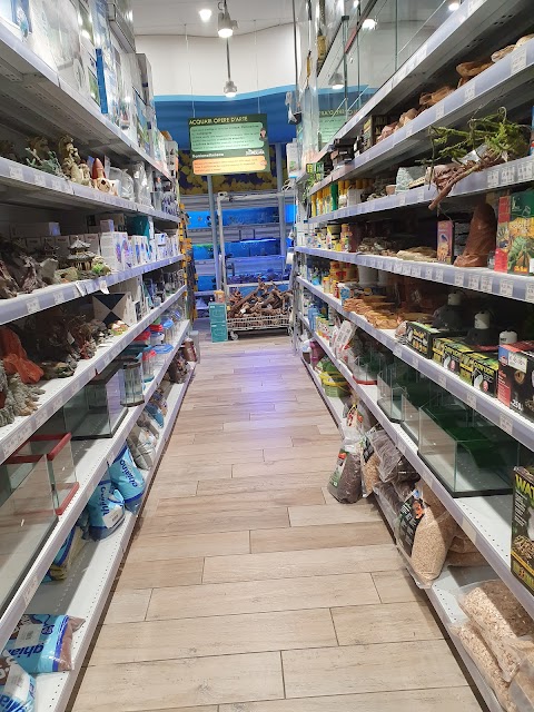 Zoomiguana Il Megastore Degli Animali