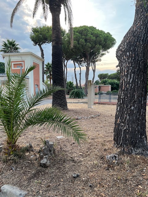 Calisthenics Siracusa