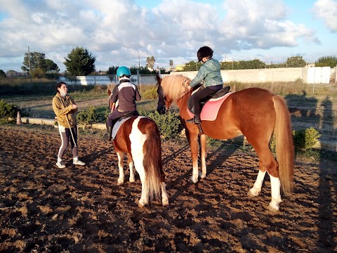 Great Ranch Scuola Di Equitazione passeggiate a cavallo