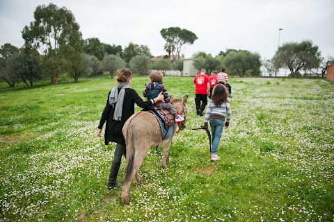 Fattoria di Chiara e Arianna ONLUS