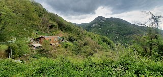 Osteria Il Chiosco Nel Bosco