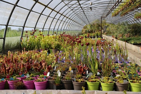 Floricoltura Cermelli di Cermelli Agostino