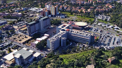 Facoltà di Medicina e Chirurgia - Università degli Studi di Catania