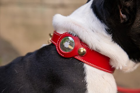 Florenze Leather Pet Accessories