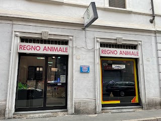 Regno Animale