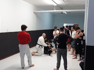 Grappling - brazilian ju jitsu - difesa personale