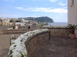 Fioraio Iris di Russo Pietro