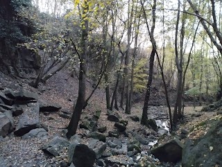 Parco naturale dei colli Euganei