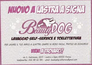 Beauty Dog lavaggio self-service e toelettatura