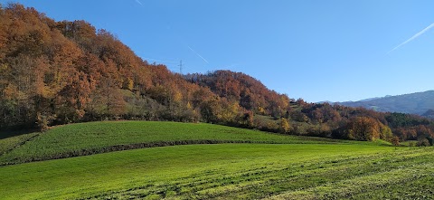 Fattoria Fiori Di Fiori Pierpaolo