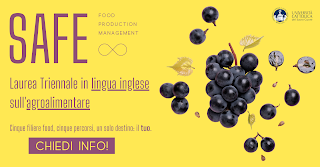 SAFE Laurea Triennale in Food Production Management