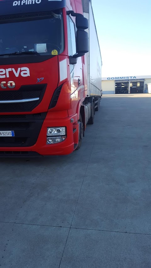 Global Truck Service Nettuno