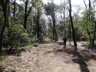 Centro Visitatori del Parco Nazionale del Circeo