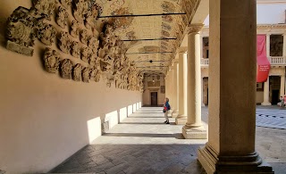 Università degli Studi di Padova