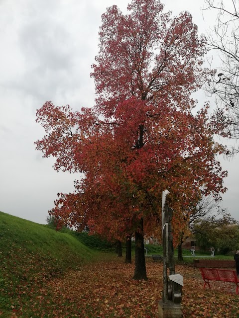 Centro di Attività Espressive Villa Pacchiani