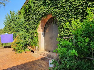 Bed and breakfast Sole Mio Velletri