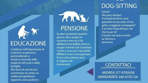Dog-sitting Verona