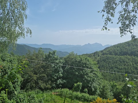 Ristorante Col D'Arciana