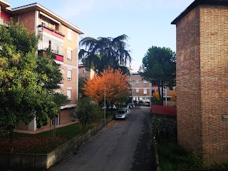 BAR TABACCHI NEL BORGO