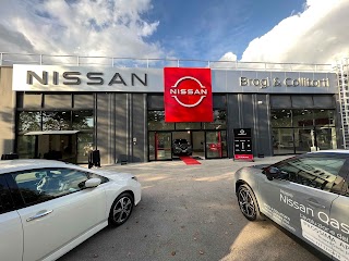 Brogi e Collitorti Nissan