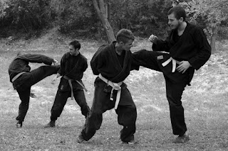 Bujinkan Kawasemi Dojo