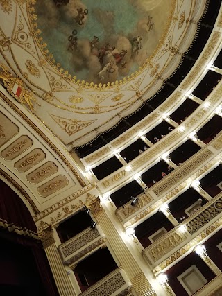 Teatro Comunale Niccolò Piccinni