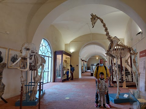 Museo di Storia Naturale dell'Università di Pisa