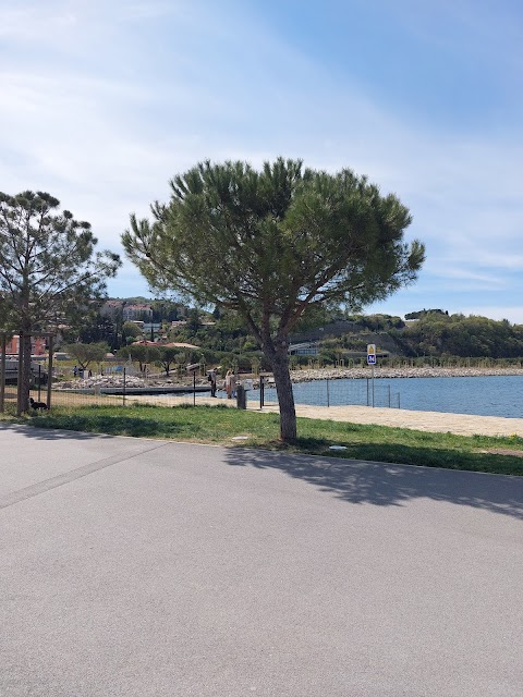 Spiaggia per cani