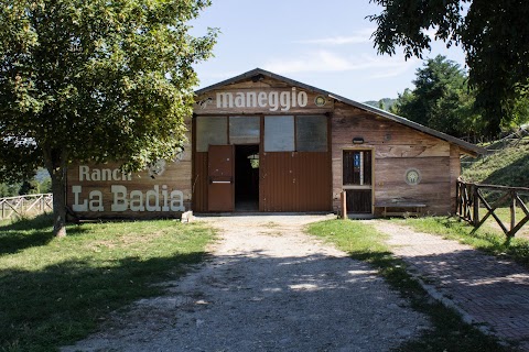 Az.Agrituristica Badia Di Susinana Di Toninelli Giuliano Antonio E Ma