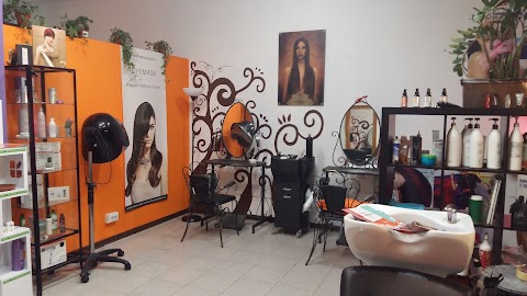 Hair Glamour Di Barcella Stefania