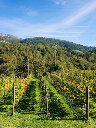 Cantina Bravi Alessandro - Vino della Garfagnana