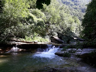 Cascata Gorgoni