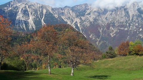 Sentiero Grandi Alberi