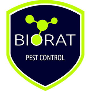 Biorat