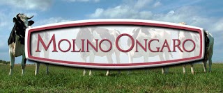 Molino ongaro snc