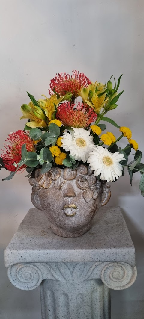 Narciso Fiori e Piante