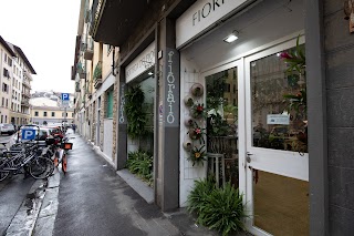 La Bottega dei Fiori