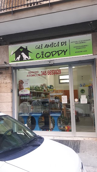 Gli Amici di Cioppy Bari